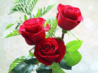 Image result for roses